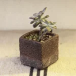 Breathable Cerc Succulent Planter Square Large Hole Creative Fine Porous Clay Pot Chinese Sle Home Decoration Flower Vase - Image 4