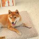 Orthopedic 3 D Foam Dog Bed with Washable Cover & Anti-Slip Base - Image 4