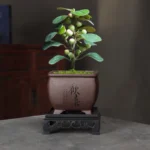 Purple Clay Flower Pot Small Tree Old Pile Breathable Lacape Pot Living Room Orchid Flowering Plant Succulent Tray Included - Image 5