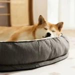 Cozy Bei Yu Pet Bed for Small & Large Dogs and Cats - Image 2