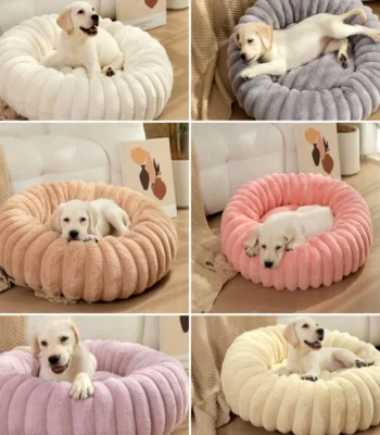 Oasin 54 &Bull; Kf Sd6D7F863E75346E6B619E723Daf9400C0 &Bull; Oasin