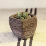 Breathable Cerc Succulent Planter Square Large Hole Creative Fine Porous Clay Pot Chinese Sle Home Decoration Flower Vase - Image 2