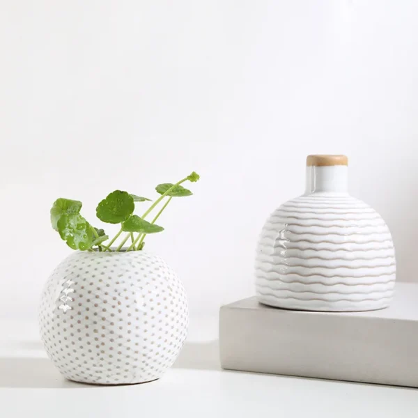 Elegant Porcelain Vase for Blooms & Aromatic Bliss