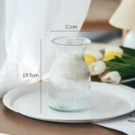 changhong-transparent