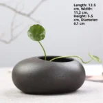 Rustic Cerc Flower Vase Indoor Desktop Decoration Pot for Water Cultivation Succulent Plants Copper ass een Ivy - Image 3