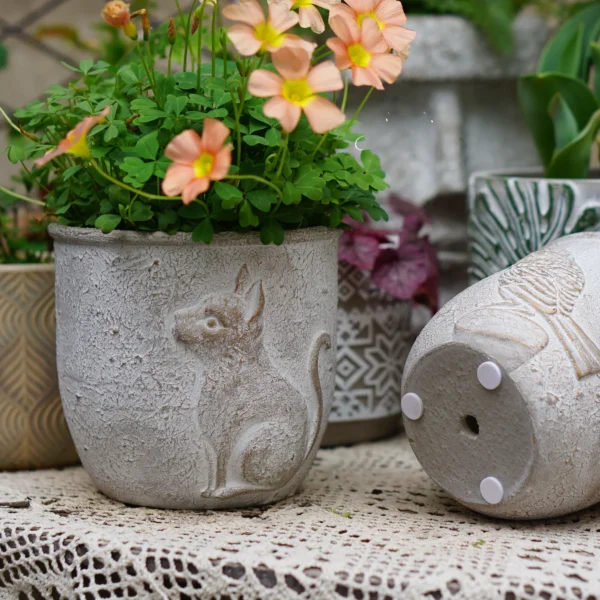 Nordic Sle Re Cute Bird And Cement Planters round Rough Surface Multi-purpose Succulent Pots for Balcony Or Desktop