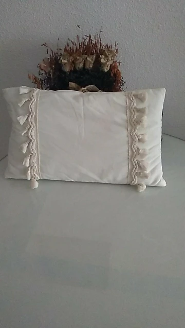 Chic Cotton Lace Tassel Cushion Cover for Modern Living Spaces photo review
