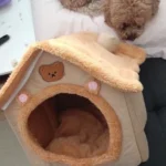 Cozy Folding Pet Houses for Small & Medium Dogs & Cats photo review