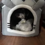 Cozy Folding Pet Houses for Small & Medium Dogs & Cats photo review