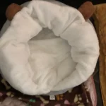 Cozy Plush Dog Bed Sofa for Small & Medium Pets - Machine Washable photo review