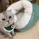 Cozy Plush Dog Bed Sofa for Small & Medium Pets - Machine Washable photo review