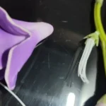 Elegant 52 Cm Jade Hairpin Flower for Luxe Home Decor photo review