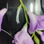 Elegant 52 Cm Jade Hairpin Flower for Luxe Home Decor photo review