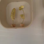 Elegant Nordic Gold Ginkgo Leaf Sculpture for Chic Decor photo review