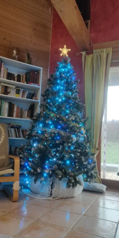 RGB Christmas Tree Star Lights with Remote Control Magic photo review