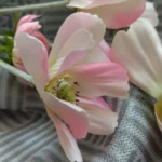 Elegant White Chamomiles Silk Flower - 60 cm Daisy Décor photo review