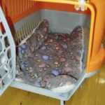 Cozy Flannel Pet Sleeping Mat for Dogs & Cats - 7 Colors Available photo review