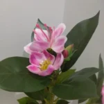 Lifelike Tropical Ficus Tree - No-Maintenance Home Decor photo review