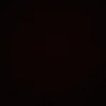 VIKAMA Custom Polyester Carpet - Durable & Easy Care Design photo review