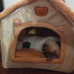 Cozy Folding Pet Houses for Small & Medium Dogs & Cats photo review