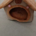 Cozy Folding Pet Houses for Small & Medium Dogs & Cats photo review