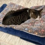 Cozy Flannel Pet Sleeping Mat for Dogs & Cats - 7 Colors Available photo review