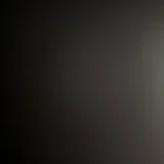 Revitalize Your Shower: ALTHY Spa Shower Head with Filter photo review