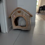 Cozy Folding Pet Houses for Small & Medium Dogs & Cats photo review