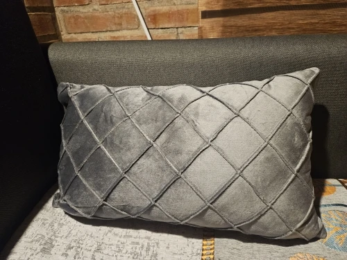 Luxurious Gray Velvet Cushion Cover for Cozy Home Decor photo review