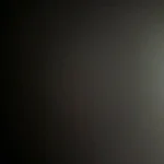 Revitalize Your Shower: ALTHY Spa Shower Head with Filter photo review