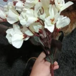 Elegant Magnolia Silk Flower Set - 5 Forks, 20 Heads for Home Decor photo review