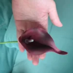 Elegant 5 PCS Calla Lily Faux Flowers for Timeless Decor photo review