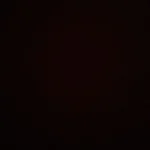 VIKAMA Custom Polyester Carpet - Durable & Easy Care Design photo review