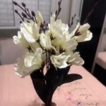 Elegant Magnolia Silk Flower Set - 5 Forks, 20 Heads for Home Decor photo review