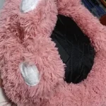 Cozy Bear Paw Pet Bed - Fluffy Comfort for All Sizes photo review