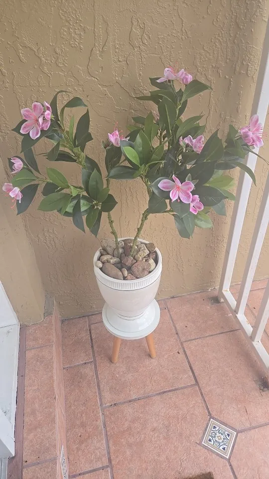 Lifelike Tropical Ficus Tree - No-Maintenance Home Decor photo review
