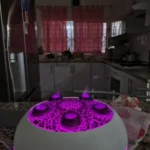 Enchanting Jellyfish Flame Humidifier & Aroma Diffuser 350 ML photo review