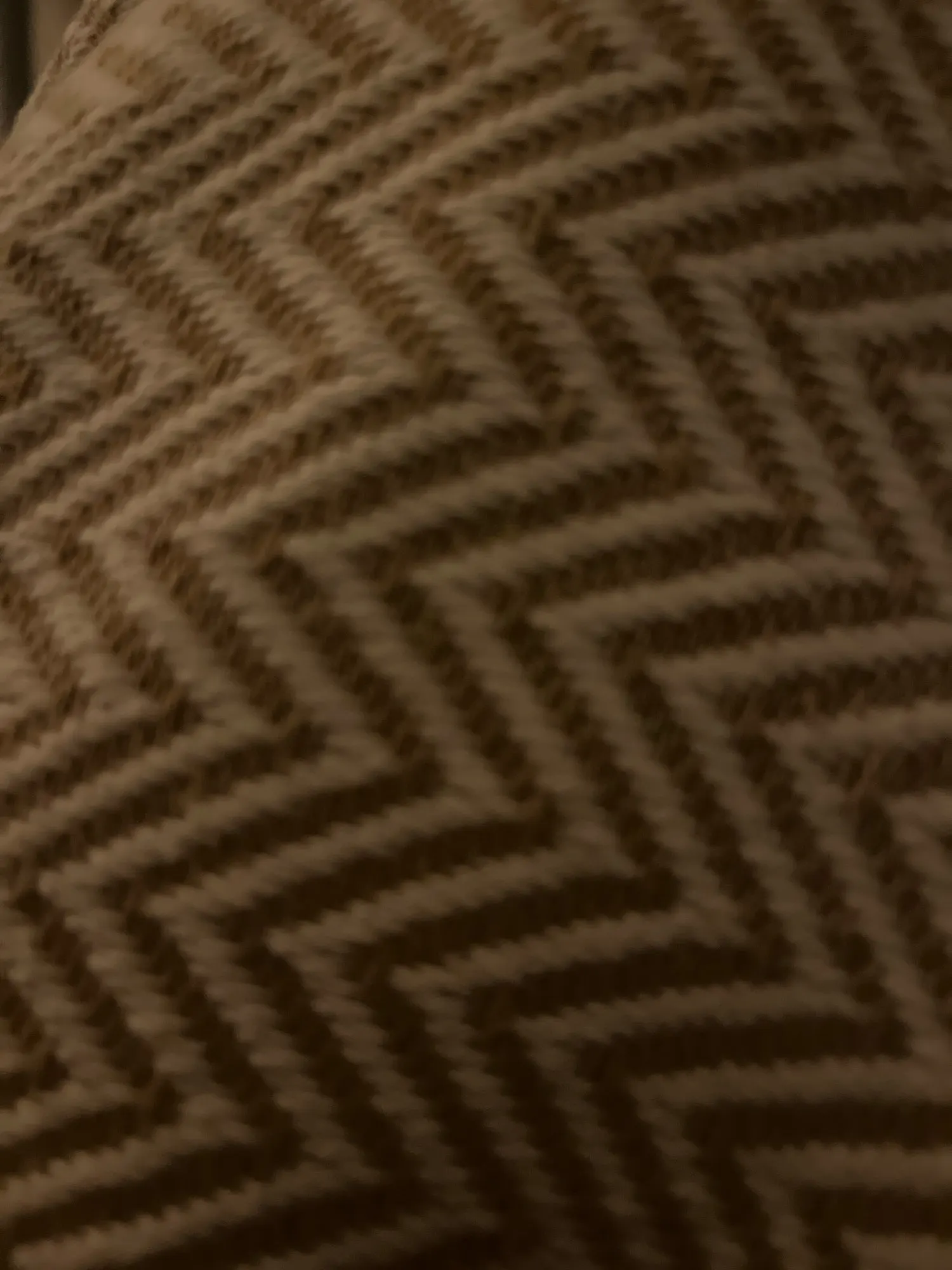 Chic Boho Fringe Lumbar Pillow Covers - Set of 2 Tassel Cushions photo review