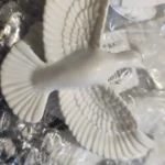 ZQNYCY Eco-Friendly Non-Electric Storage Solutions photo review