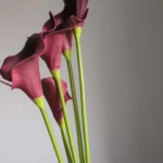 Elegant 5 PCS Calla Lily Faux Flowers for Timeless Decor photo review