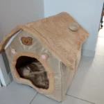 Cozy Folding Pet Houses for Small & Medium Dogs & Cats photo review