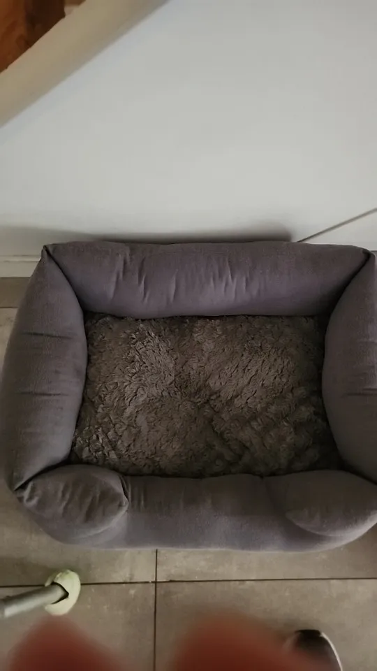 Orthopedic 3 D Foam Dog Bed with Washable Cover & Anti-Slip Base photo review