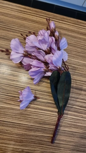 Elegant Magnolia Silk Flower Set - 5 Forks, 20 Heads for Home Decor photo review