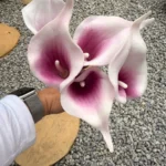 Elegant 5 PCS Calla Lily Faux Flowers for Timeless Decor photo review