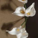 Elegant 5 PCS Calla Lily Faux Flowers for Timeless Decor photo review