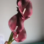 Elegant 5 PCS Calla Lily Faux Flowers for Timeless Decor photo review