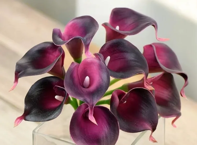 Elegant 5 PCS Calla Lily Faux Flowers for Timeless Decor photo review