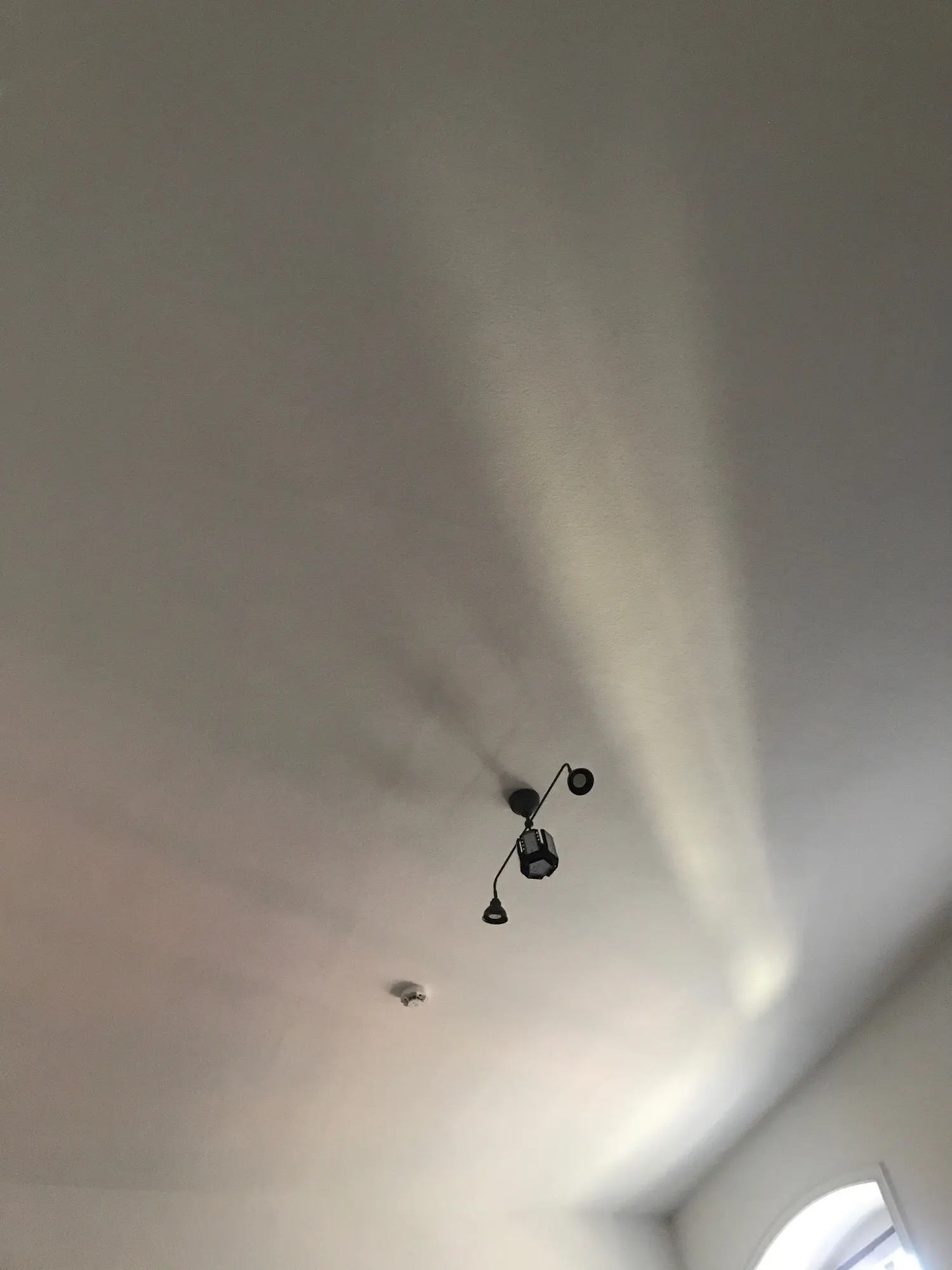 Transform Your Shower: ALTHY Vitamin C Water Filter photo review