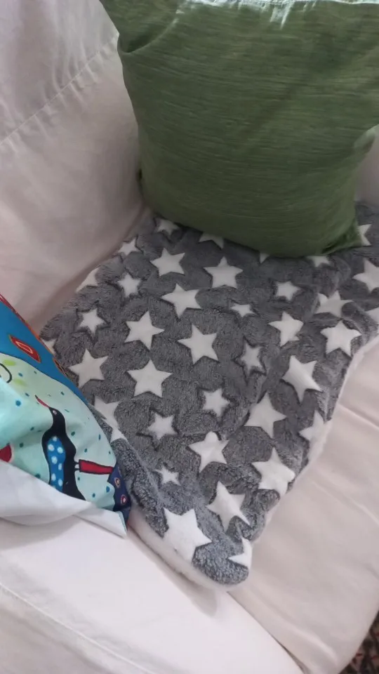 Cozy Flannel Pet Sleeping Mat for Dogs & Cats - 7 Colors Available photo review