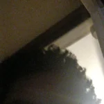 Luxurious Microfiber Pebble Mat for Stylish Home Comfort photo review